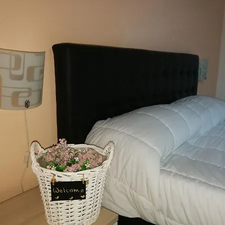 Dante 2* Katánie